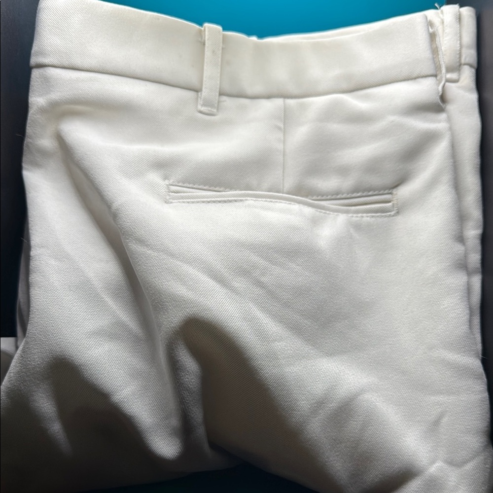 Something Navy Men's Dress Pants - White
